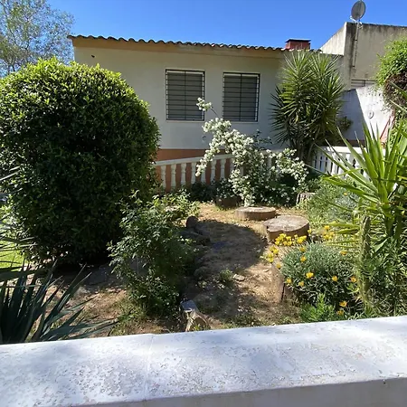 Ondinas Del Las Jaras